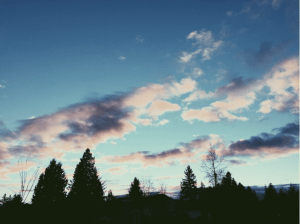 Screen Shot 2015-12-30 at 12.11.32 PM