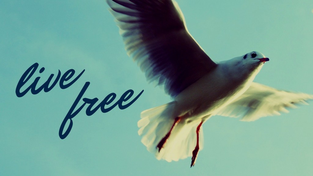 Understanding Escape